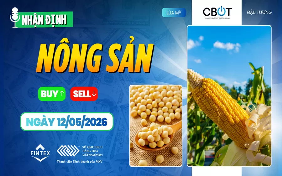 NHẬN ĐỊNH THỊ TRƯỜNG NÔNG SẢN NGÀY 12/05/2026